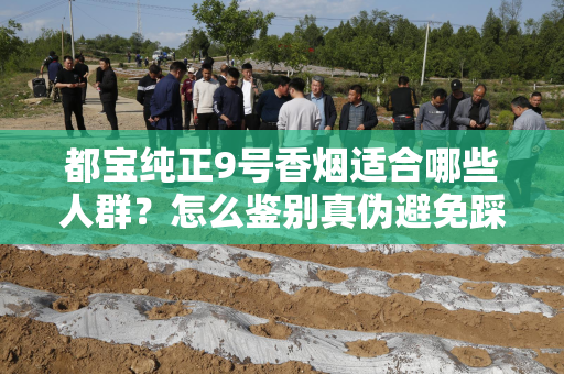 都宝纯正9号香烟适合哪些人群？怎么鉴别真伪避免踩坑？